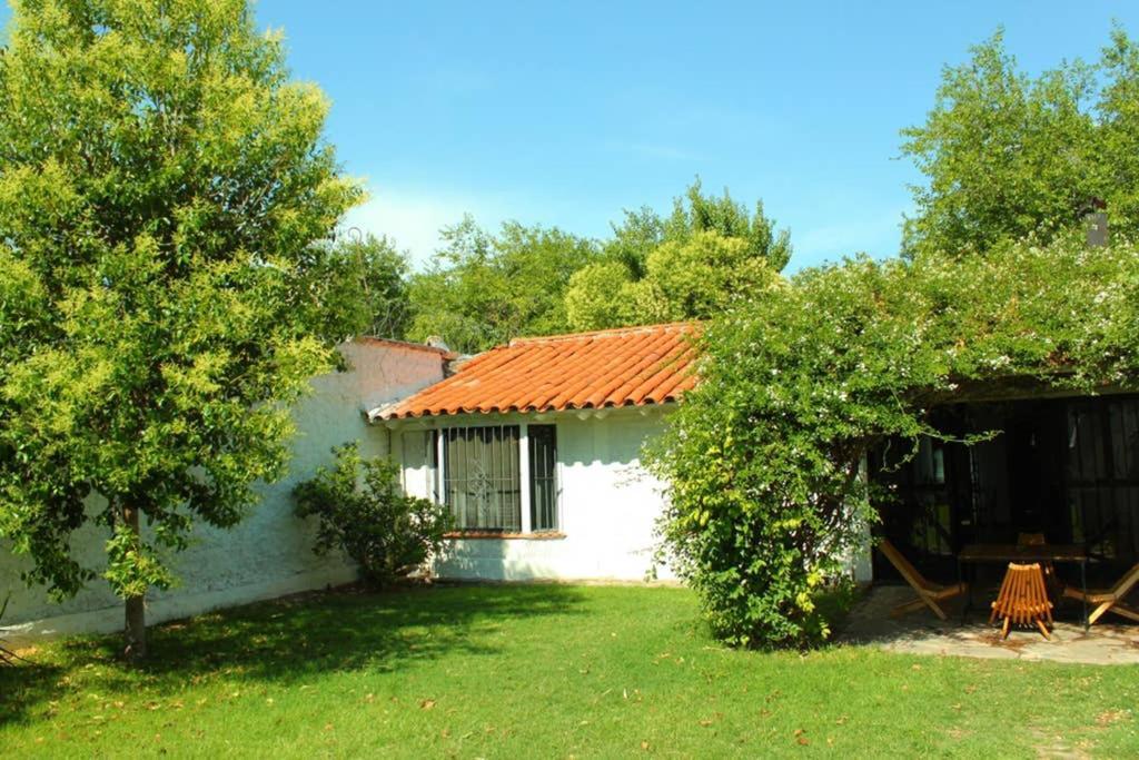 Big Beautiful House With Garden In 5Ta Seccion Neighbourhood Villa Mendoza Exteriör bild
